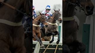 Titan Discovery Wins Weatherbys Racing Bank Handicap [upl. by Barnabe]