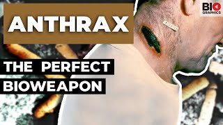 Anthrax Nature’s Perfect Bioweapon [upl. by Karissa]