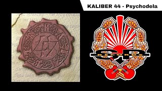 KALIBER 44  Psychodela OFFICIAL AUDIO [upl. by Yttik785]