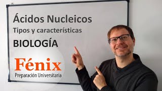 Ácidos Nucleicos ADN y ARN en 6 minutos [upl. by Aggri52]