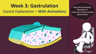 Gastrulation  Human Embryology  3rd Week Animated  MedicoVisual [upl. by Abigale132]