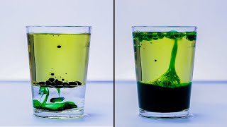 EASY SCIENCE EXPERIMENTS THAT WILL AMAZE KIDS [upl. by Eahcim]