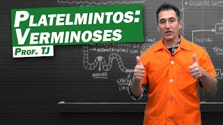 Biologia  Verminoses de Platelmintos [upl. by Aicatsanna]