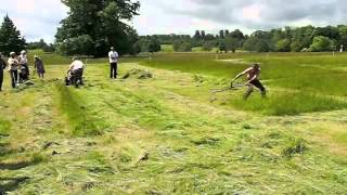 BCS mower vs scythe 2012 [upl. by Anilemrac]