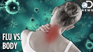 Why The Flu Causes Aches amp Pains [upl. by Olivann902]