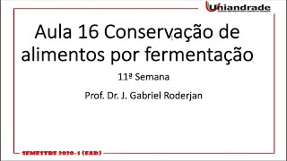 Aula 16 Conservação de Alimentos por fermentação [upl. by Abel]