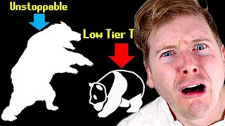 TierZoos Bear Tier List Reaction [upl. by Anitniuq]