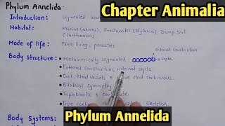 Phylum Annelida Characters And Classification Fully Explain In Hindi Urdu [upl. by Silliw]