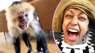 DAVID SURPRISING FRIENDS WITH ANIMALS  TOP VLOG SQUAD MOMENTS [upl. by Yaker]