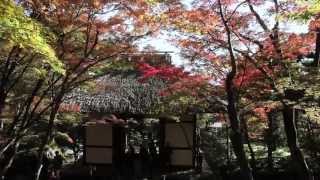 JAPAN  Beautiful Four Seasons  【美しい日本の四季】 [upl. by Gotthard71]