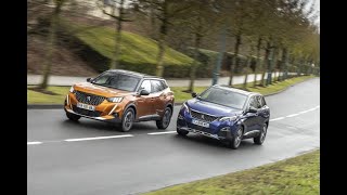 Peugeot 2008 vs Peugeot 3008 [upl. by Hayn987]