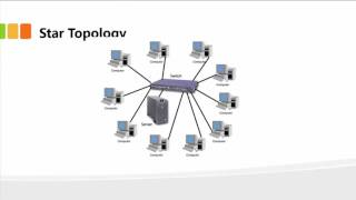 Understanding Network Topologies [upl. by Terryl312]