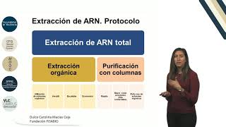 41 Extraccion de ARN [upl. by Guntar]