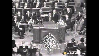 Martin Luther King Jr Nobel Peace Prize Acceptance Speech [upl. by Derian]