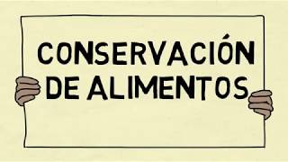 Conservación de los alimentos [upl. by Dana]