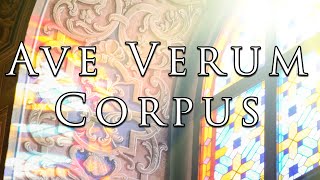 Ave Verum Corpus Lyric Video [upl. by Aroel534]