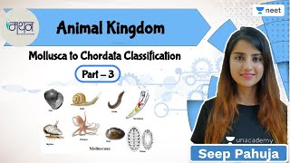 Animal Kingdom  L3  NEET 202223 Biology  Seep Pahuja [upl. by Sperry]