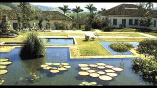 Burle Marx [upl. by Merriott]