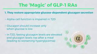 Mechanism of Action for GLP 1 RAs quotThe Howquot [upl. by Camala]