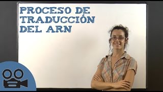 Proceso de traducción del ARN [upl. by Anthea]