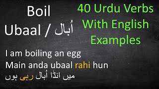 Basic Urdu Verbs with Examples  Urdu Grammar Lesson [upl. by Belicia]