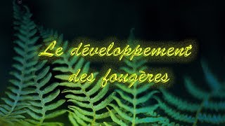 Le développement des fougères [upl. by Aratas112]