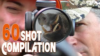 60 Hunting Shot Compilation  Compilation des 60 meilleurs tirs de chasse  2021 [upl. by Phelgon499]