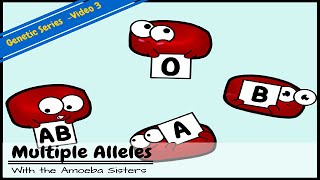 Multiple Alleles ABO Blood Types and Punnett Squares [upl. by Auoh]