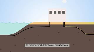 What is Distributed Acoustic Sensing and how does it monitor a Cable [upl. by Gnay]