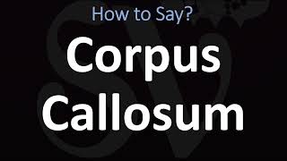 How to Pronounce Corpus Callosum CORRECTLY [upl. by Tufts]