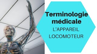 TERMINOLOGIE MÉDICALE  LES RACINES DE LAPPAREIL LOCOMOTEUR [upl. by Nomad]