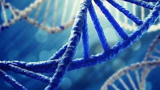 DNA Science  Human Race and Genetics Documentary [upl. by Haila]