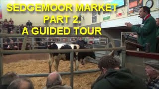 SEDGEMOOR MARKET PART 2 A GUIDED TOUR [upl. by Anima620]