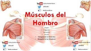 Anatomía  Músculos del Hombro Origen Inserción Acción Inervación Irrigación [upl. by Glenna]