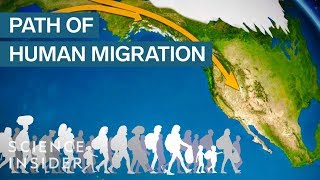 Map Shows How Humans Migrated Across The Globe [upl. by Eustace105]