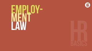 HR Basics Employment Law [upl. by Mcnalley423]