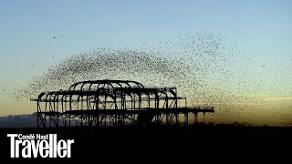 Starling murmuration in Brighton  Condé Nast Traveller [upl. by Egbert]