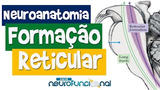 NEUROANATOMIA Formação Reticular e Coma [upl. by Trudi186]