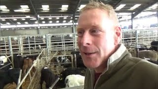 Visit to Sedgemoor Marketcattle calves sheep amp chickens [upl. by Nomaj154]