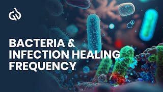 Bacterial Skin Infection  Cellulitis and Erysipelas Clinical Presentation Pathology Treatment [upl. by Valerle579]