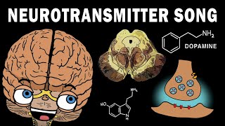 THE NEUROTRANSMITTER SONG [upl. by Eicirtap116]