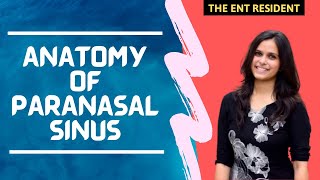 Anatomy of Paranasal Sinus [upl. by Aihtibat]