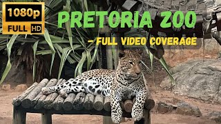 Pretoria Zoo  South Africa  HD Video  Full Version naturelovers africa animals zoo [upl. by Pooi]