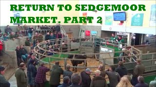 RETURN TO SEDGEMOOR MARKET PART 2 [upl. by Hanan10]