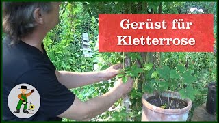 Gerüst für Kletterrose [upl. by Ulises]