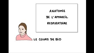 Anatomie de l’appareil respiratoire [upl. by Rodama]