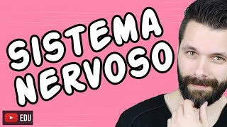 SISTEMA NERVOSO  FISIOLOGIA  Aula  Biologia com Samuel Cunha [upl. by Nimaj561]