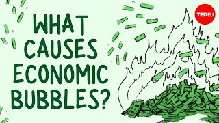 What causes economic bubbles  Prateek Singh [upl. by Avril335]