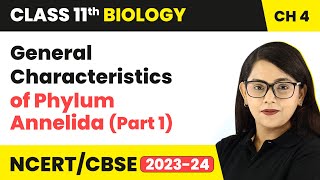 General Characteristics of Phylum Annelida Part 1  Class 11 Biology Chapter 4  NCERTCBSE [upl. by Ykcin727]