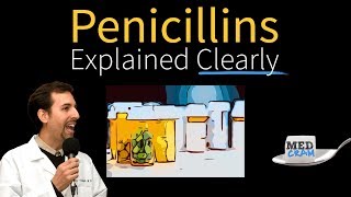 Penicillins  Antibiotics Explained Clearly [upl. by Eon]